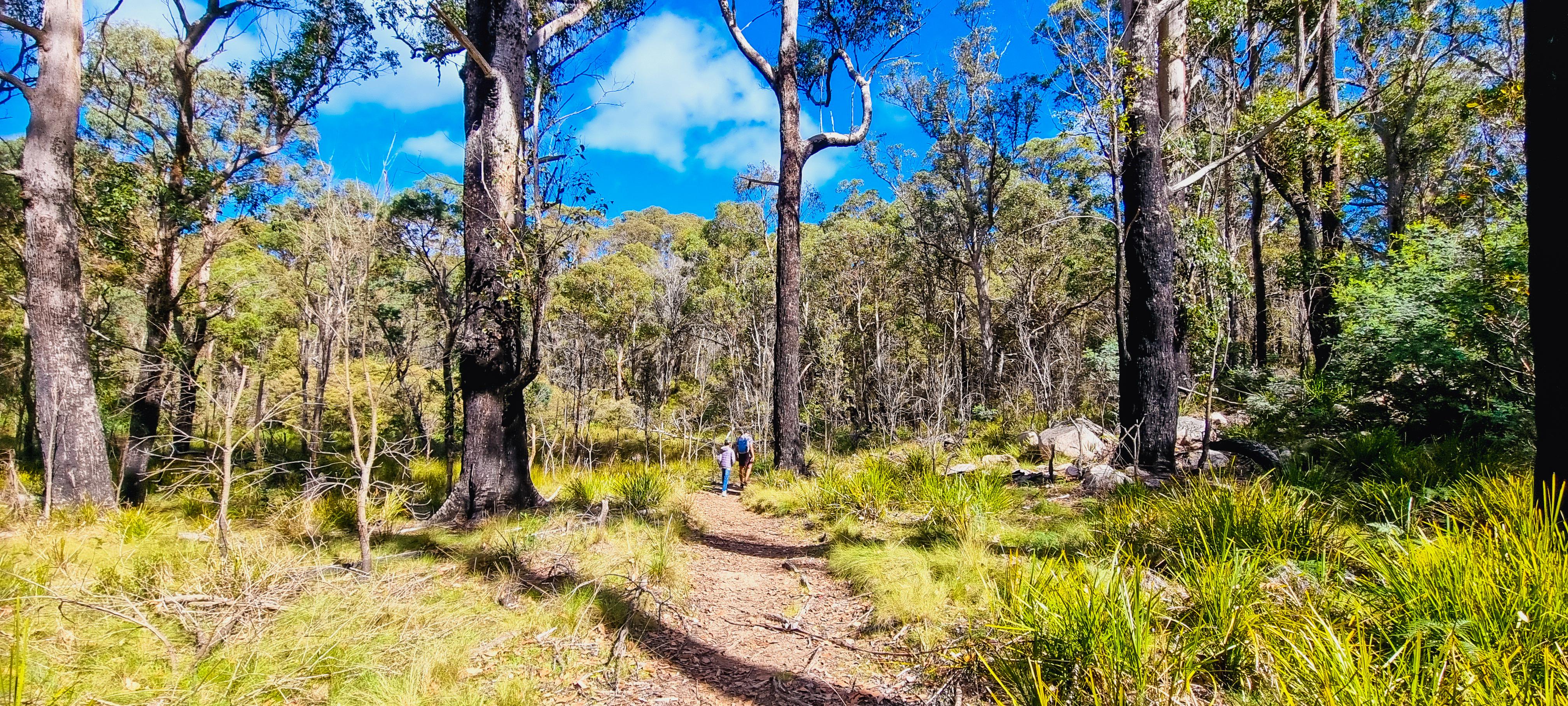 Cathedral Rock Track - Grade 4 Flat Walk